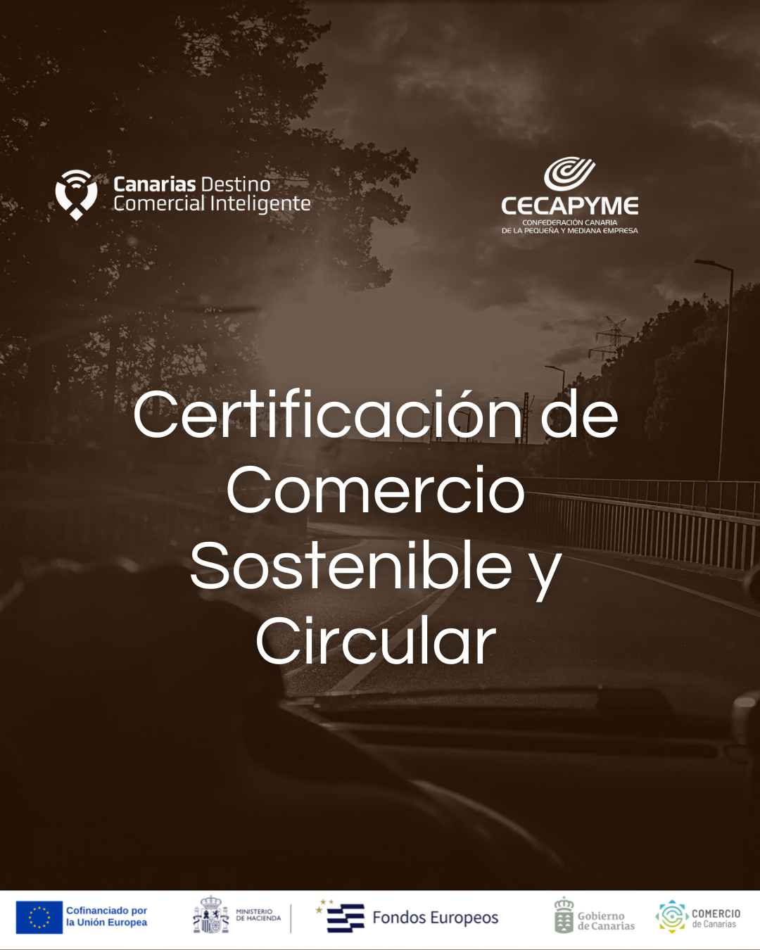 Canarias Destino Comercial Inteligente